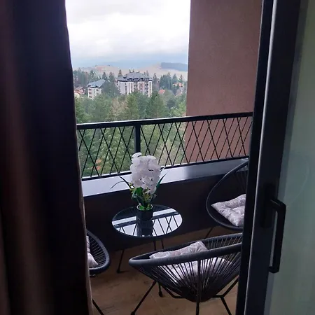 Apartment Boni 901